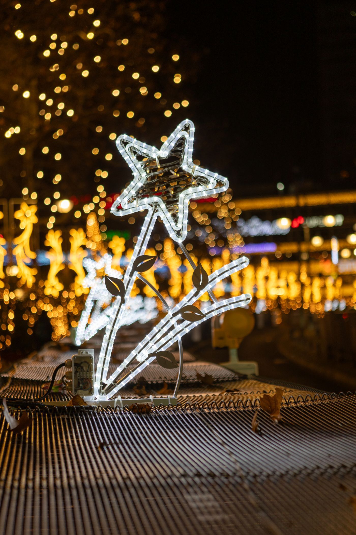 Met de bus naar Duitse kerstmarkten