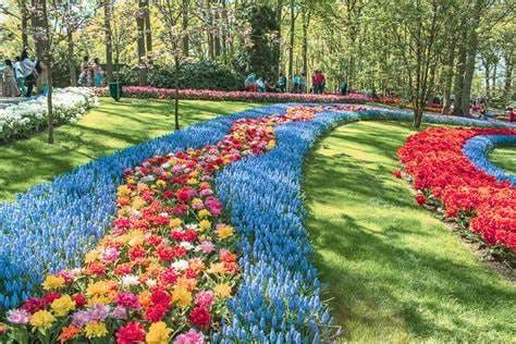 Met de bus naar Keukenhof